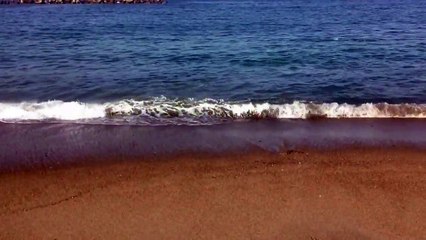 大洗アウトレット・市場・マリンタワー・ホテル近くの海癒しの1分動画 波音を聞きながら-YdzyM0Bn_IM