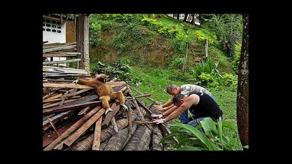 Приколы  люди и животные!!))