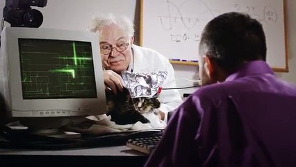 Are Cats smarter than Humans