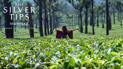 Best Hotels in Munnar SilverTipsMunnar-720p