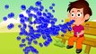 Colors for Children to Learn with Gumball Balloons - Colours for Kids to Learn, Kids Learning Videos