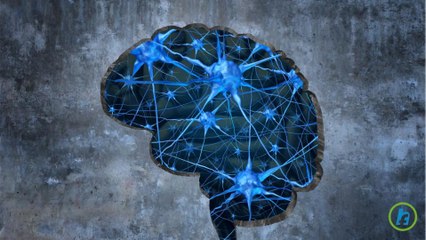 Link Found Between Gut Bacteria and Neurodegenerative Diseases