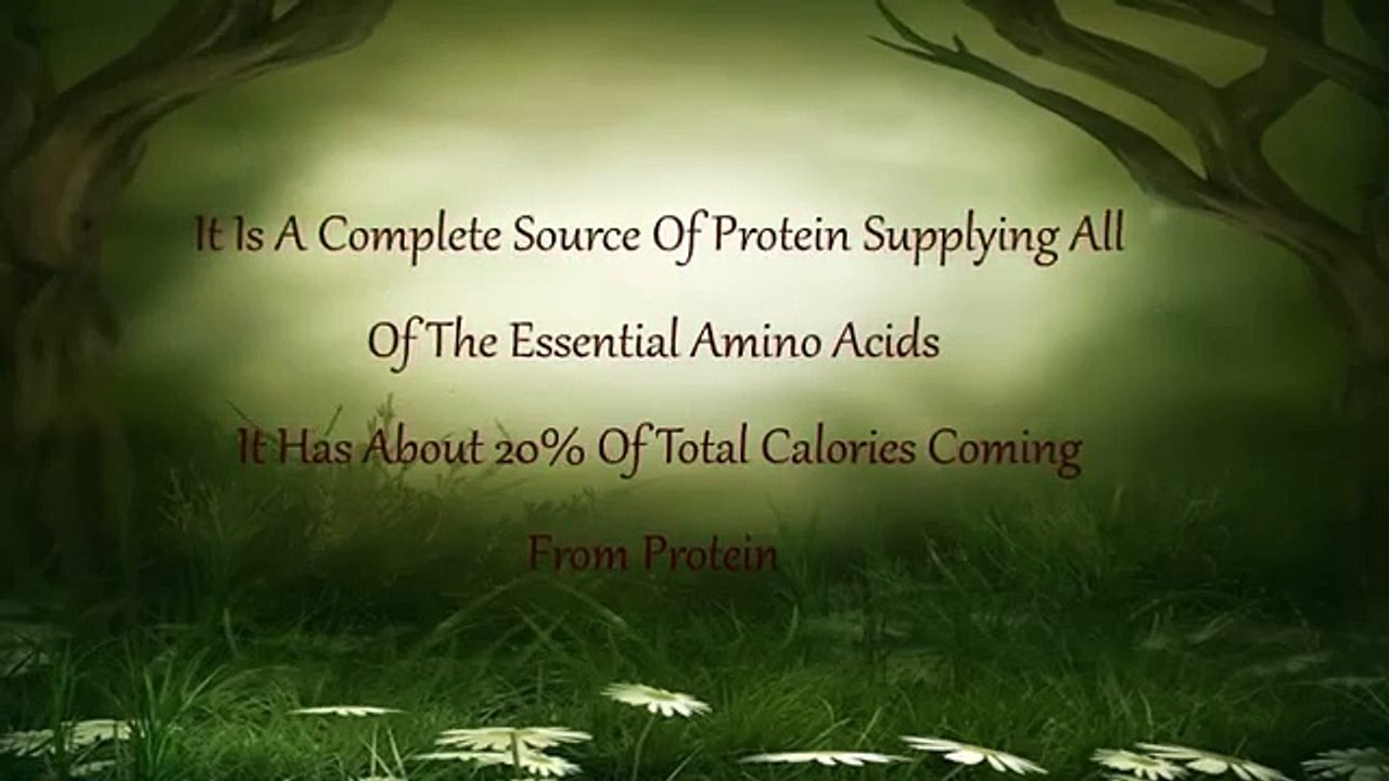 Wheatgrass