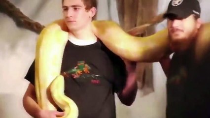 прикол у парня встал змий