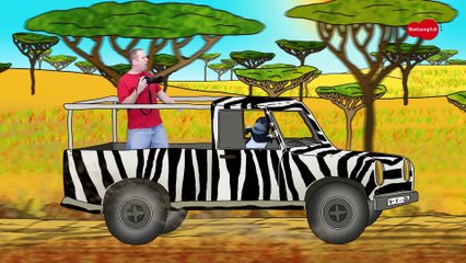 Steve and Maggie Racing throught a Wild Animal Safari   Learn English Kids in English funny stories