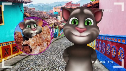 Talking Tom and Friends - ¡Por fin en español!-SV_Fa-Gty9I