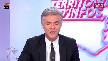 Luc Carvounas - Territoires d'infos (11/01/2017)