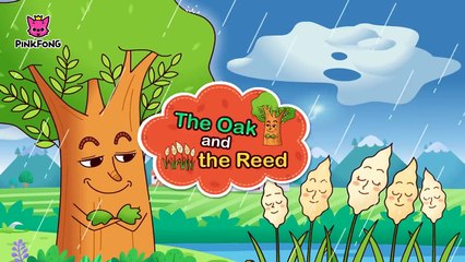 The Oak and the Reed _ Aesop's Fables _ PINKFONG Story Time for Children-hDf0GhNK6pk