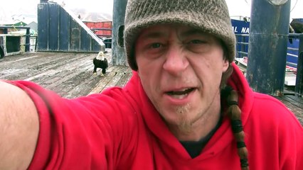 Pescador alimenta a un montón de águilas calvas, y cuando la cámara gira hacia la izquierda...