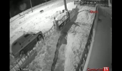 Aç kalan kurt, köpeğe saldırdı