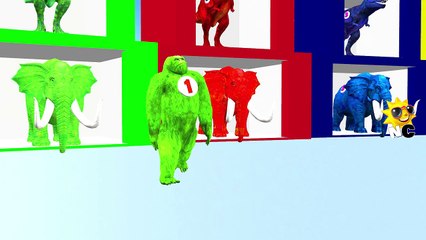 Learning Colors And Numbers With Wild Animals   Kids Education Videos   Preschool Learning Songs