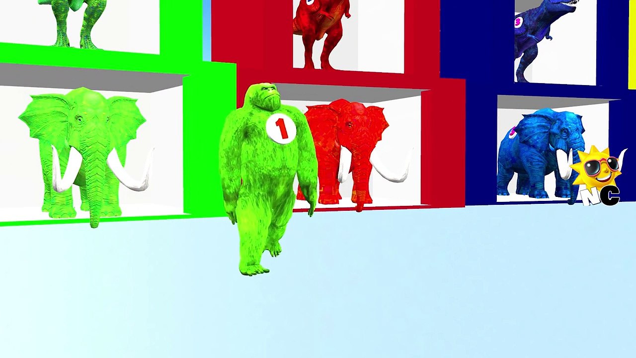 Learning Colors And Numbers With Wild Animals   Kids Education Videos   Preschool Learning Songs