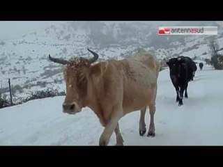 TGSRVgen10 maltempo granarolo sposta produzione