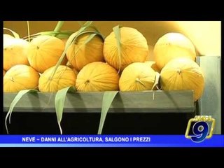 Neve | Danni all'agricoltura, salgono i prezzi