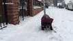 Adorable French Bulldog refuses to walk in the snow
