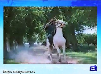 Senior Actors Hamza and Fawad Cast in Maula Jatt 2