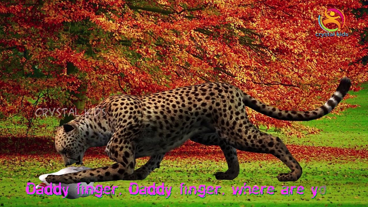 Cheetah Finger Family Nursery children 3d animated rhymes