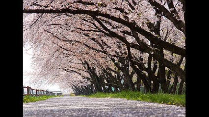 ジャック・ゲステム