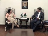 Sindh CM Syed Murad Ali Shah meets Finance Minister Punjab Aisha Ghous Pasha