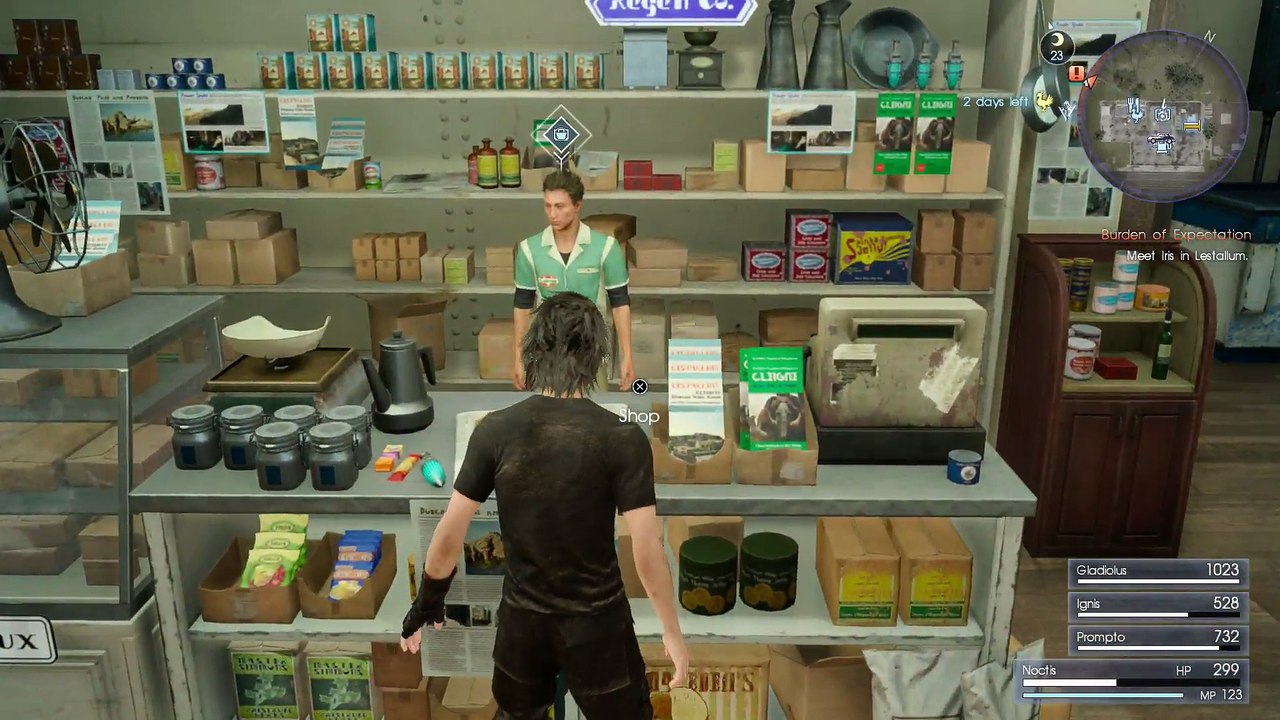 FINAL FANTASY XV FIRST TIME PLAYTHROUGH PART 51 FINAL RESTING PLAINS