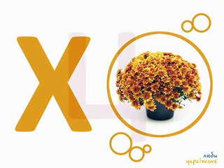 Развивающий мультик учим буквы, слова, изучаем украинский язык для девочек