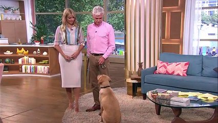 Clover Pulls Phillip Off His Feet!   This Morning