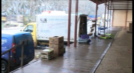 Προβλήματα στα οπορωκηπευτικά από τον χιονιά