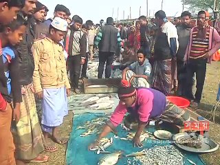 রাজশাহীর তানোরে  মৎস্য মেলা অনুষ্ঠিত