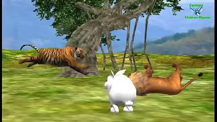 Animal Learnig Sounds & Funny Videos For Cartoon Childrens