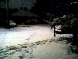 This snow makes me very happy...