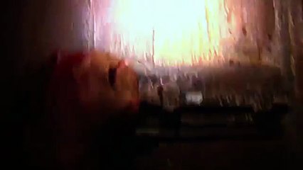Blair Witch - 360 Web VR Experience-VONpE923kKY