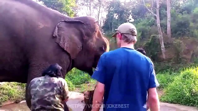 ЛУЧШИЕ ПРИКОЛЫ ДЕКАБРЬ 2016 | Лучшая Подборка Приколов #177