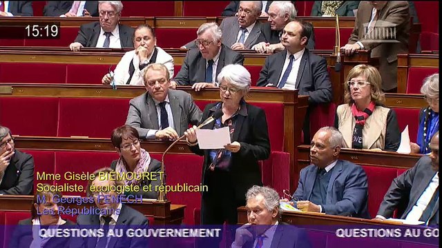 Question au Gouvernement de Gisèle BIEMOURET concernant la crise de la Grippe Aviaire dans le Gers (11012017)