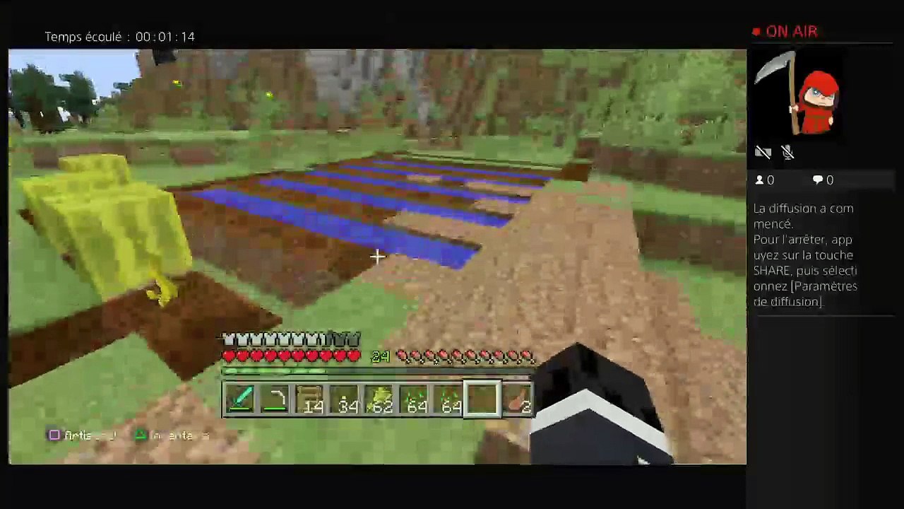 Minecraft (3)