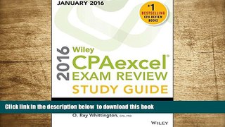 Download [PDF]  Wiley CPAexcel Exam Review 2016 Study Guide January: Financial Accounting and