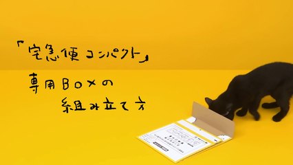 Kuroneko Yamato - Japanese Commercial-7eTCX34AeBo