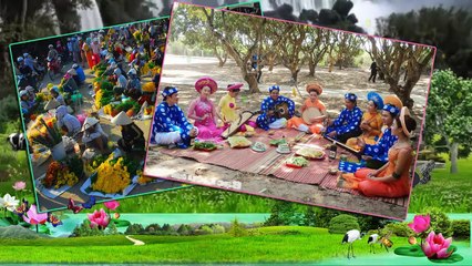 Liên Khúc Nhạc Chế Bài Ca Tết Tha Hương