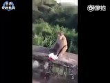 Funny Video Fails 2016  Just For Laughs Gags 2016 NEW Funny Prank Videos 2016