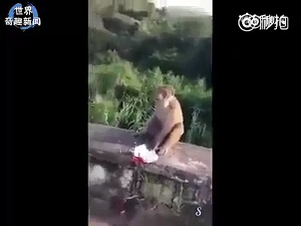 Funny Video Fails 2016  Just For Laughs Gags 2016 NEW Funny Prank Videos 2016