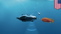 Drone bawah air ini bisa membantu anda memancing ikan - Tomonews