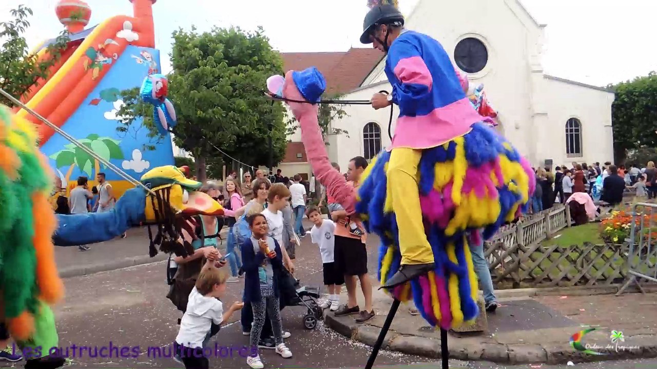 LES AUTRUCHES MULTICOLORES