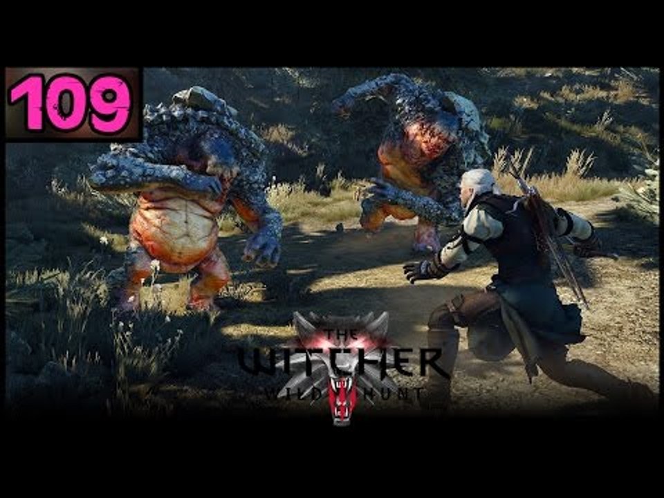 The Witcher 3 Wild Hunt - Part 109 - PC Gameplay Walkthrough - 1080p 60fps