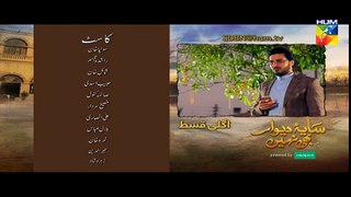 Saya e Dewar Bhi Nahi Episode 23 Promo HD HUM TV Drama 11 January 2017 - YouTube