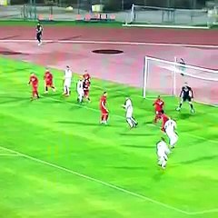 Fenerbahçe 2-0 Partizani GOL: Fernandao