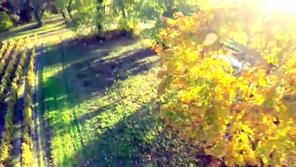 Ultimate Drone - Saison 02 Episode 18 - Comment choisir sa batterie ?