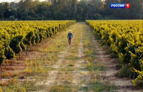 Саша добрый, Саша злой 5 серия.