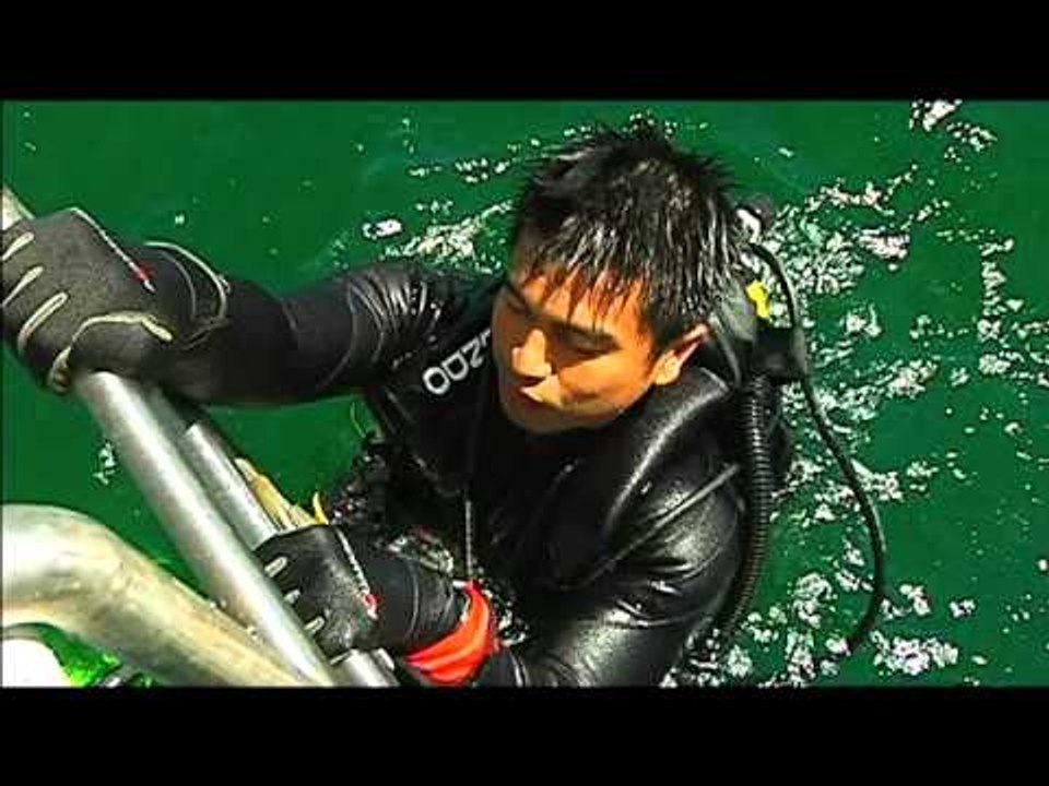 BORN TO BE WILD: "Shipwreck" and "Sea Turtle Story"