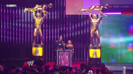 Slammy Awards 2008: Damn Moment Of The Year