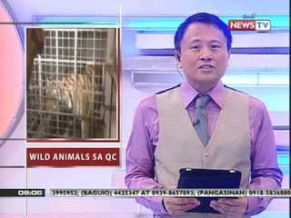 News to Go - Main Headlines (02/28/11)