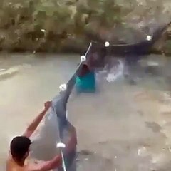 Wuih..... panen ikan yuk!!!!!!